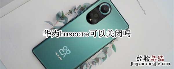 华为hmscore可以关闭吗 华为hmscore是什么意思可以关闭吗