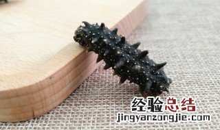 干海参怎么保存方法 干海参如何保存方法
