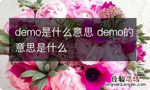 demo是什么意思 demo的意思是什么