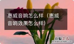 惠威音响效果怎么样 惠威音响怎么样