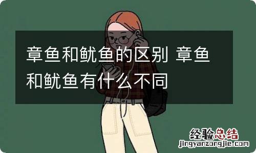 章鱼和鱿鱼的区别 章鱼和鱿鱼有什么不同