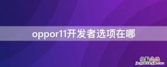 OPPOR11开发者选项在哪里 oppor11开发者选项在哪