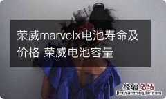 荣威marvelx电池寿命及价格 荣威电池容量