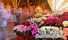 花卉营养土怎么配制 花卉营养土怎么配制方法