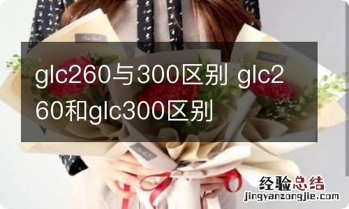 glc260与300区别 glc260和glc300区别