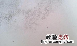 墙壁发霉变黑怎么办? 墙壁发霉发黑怎么办