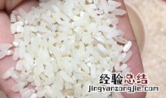 大米生虫子了还能吃吗 大米生虫子了还能不能吃