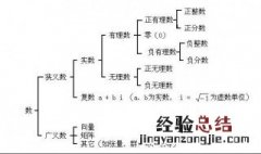 数的分类? 数的分类结构图