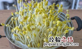 豆芽发芽了还能吃吗 吃豆芽的好处