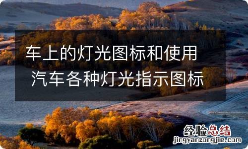 车上的灯光图标和使用 汽车各种灯光指示图标