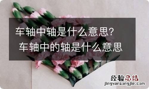 车轴中轴是什么意思？ 车轴中的轴是什么意思