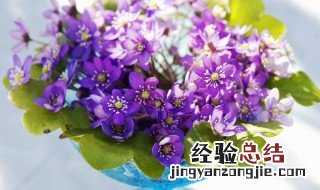 花瓶怎么洗最干净 怎么洗花瓶