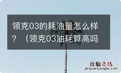 领克03油耗算高吗 领克03的耗油量怎么样？