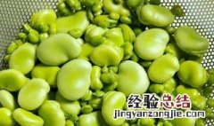 蚕豆种怎样才能不生虫 蚕豆种不生虫的方法