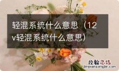 12v轻混系统什么意思 轻混系统什么意思