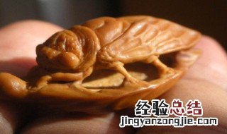 如何做核桃壳里的微雕 做核桃壳里的微雕方法