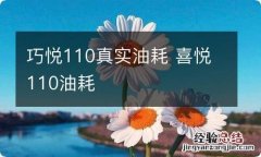 巧悦110真实油耗 喜悦110油耗