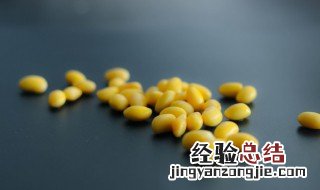 大豆的储存方法有哪些 大豆的储存方法