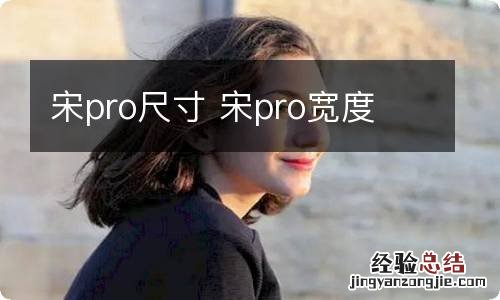 宋pro尺寸 宋pro宽度