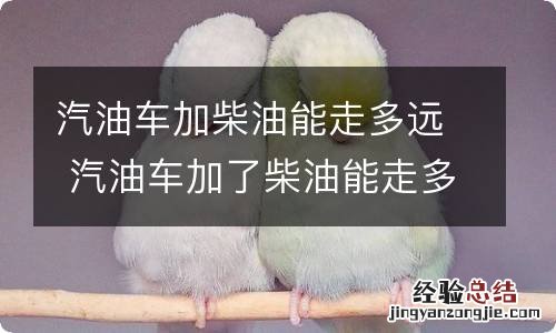 汽油车加柴油能走多远 汽油车加了柴油能走多远