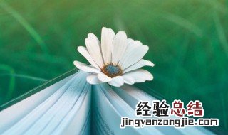 梦见花预示着什么周公解梦 梦见花预示着什么