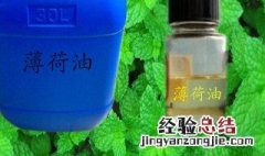 薄荷油哪里买 哪里买薄荷油