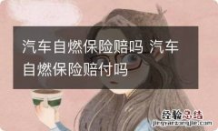 汽车自燃保险赔吗 汽车自燃保险赔付吗