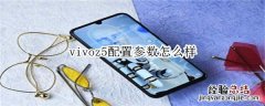 vivoz5配置参数怎么样