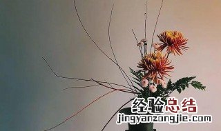 中式插花怎么插 中式插花插制程序图