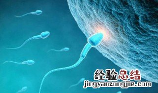 精子存活时间有多长 精子能存活多久