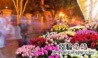 重阳节送什么花给爷爷奶奶 重阳节送什么花