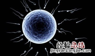 精子和卵子结合需要多长时间怀孕 怎么判断怀孕没