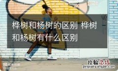 桦树和杨树的区别 桦树和杨树有什么区别