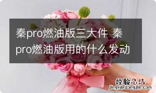 秦pro燃油版三大件 秦pro燃油版用的什么发动机