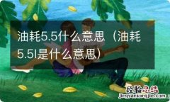 油耗5.5l是什么意思 油耗5.5什么意思