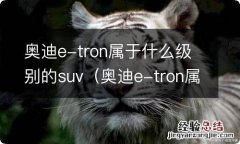 奥迪e-tron属于什么车 奥迪e-tron属于什么级别的suv