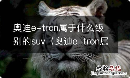 奥迪e-tron属于什么车 奥迪e-tron属于什么级别的suv