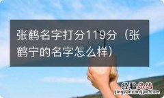 张鹤宁的名字怎么样 张鹤名字打分119分