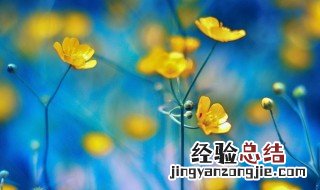 感叹梦想流逝的句子英文 感叹梦想流逝的句子