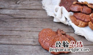 梦见灵芝是什么预兆 梦见灵芝是什么意思有什么预兆