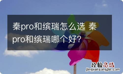 秦pro和缤瑞怎么选 秦pro和缤瑞哪个好?