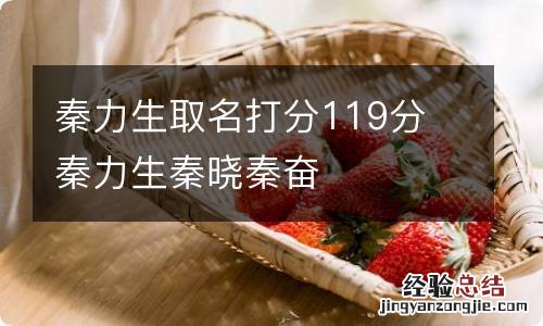 秦力生取名打分119分 秦力生秦晓秦奋