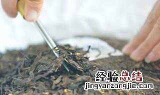 莽枝古树茶特点 莽枝古树茶多少钱一斤