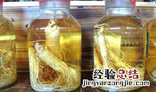 人参怎么泡酒最佳 人参怎么泡酒好