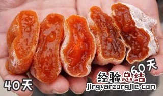 柿饼发霉怎么处理 柿饼生霉了怎么办