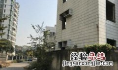 外墙砖脏了怎么解决方法 外墙砖脏了怎么解决