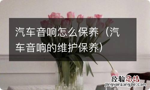 汽车音响的维护保养 汽车音响怎么保养