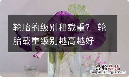 轮胎的级别和载重? 轮胎载重级别越高越好