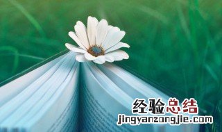 月奶茶文案短句干净 月奶茶文案短句干净有什么