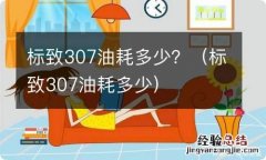 标致307油耗多少 标致307油耗多少？